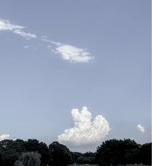 うさぎのような形の雲