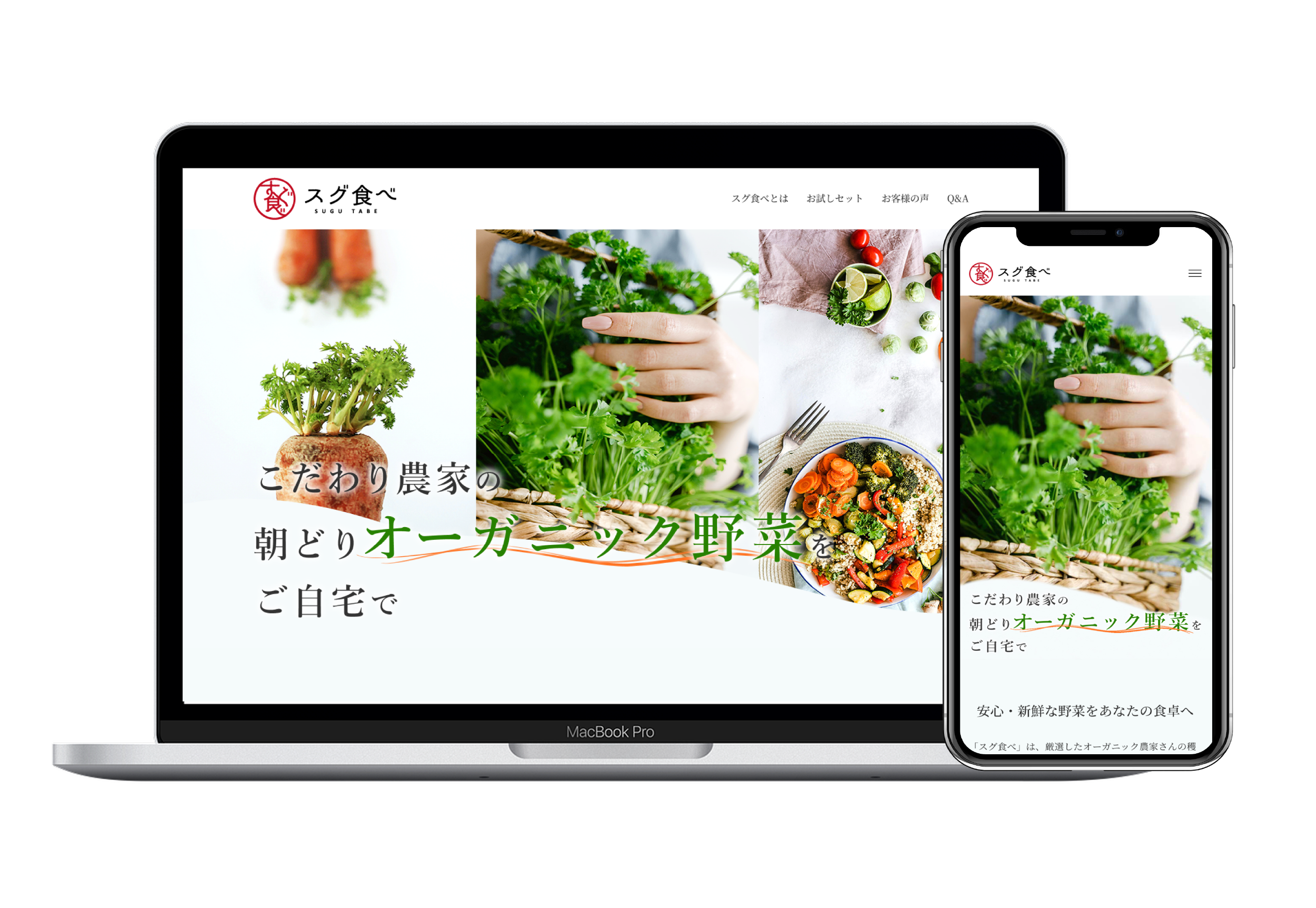 オーガニック野菜販売サイトの実績
